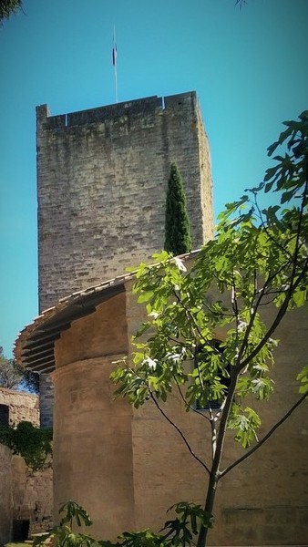 La chapelle royale Saint Sauveur et la tour Bermond