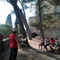 Visite occitane Coriandre